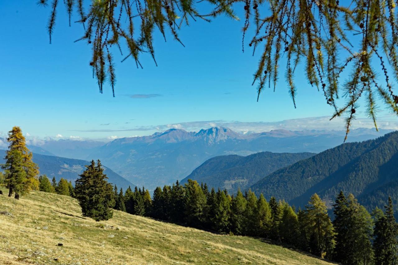 Hotel Alpenhof Ультимо Экстерьер фото